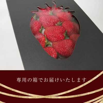 いちご 紅ほっぺ 贈答用 大粒 12～15粒入り 約450g 冷蔵 朝採れ 苺 春 旬 四国 徳島 