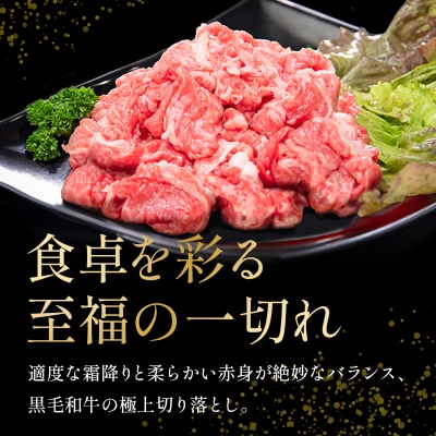 黒毛和牛 赤身 切り落とし 1kg (500g×2) A4ランク以上 国産 和牛 阿波牛