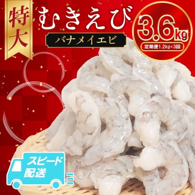 定期便 3回 えび 約1.2kg  計3.6kg 冷凍 むきえび エビ 海老
