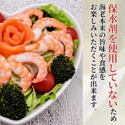 定期便 3回  えび 約1.2kg 冷凍 むきえび エビ 海老