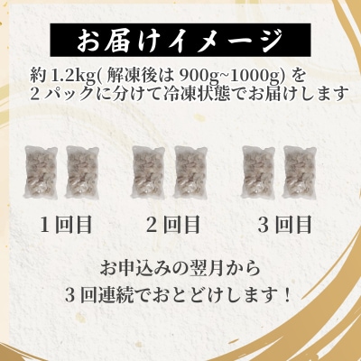 定期便 3回 えび 約1.2kg  計3.6kg 冷凍 むきえび エビ 海老