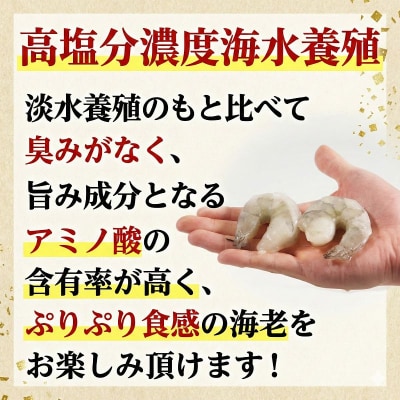 定期便 3回 えび 約1.2kg  計3.6kg 冷凍 むきえび エビ 海老