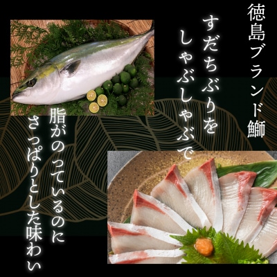 徳島すだちぶり ぶりしゃぶセット 400g(濱さんのすだちポン酢・切り落と付き)ブリ 海鮮 鰤 ぶり