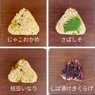 冷凍 おにぎり 玄米 おむすび 10種セット 玄米 レンジ 国産 冷凍おにぎり