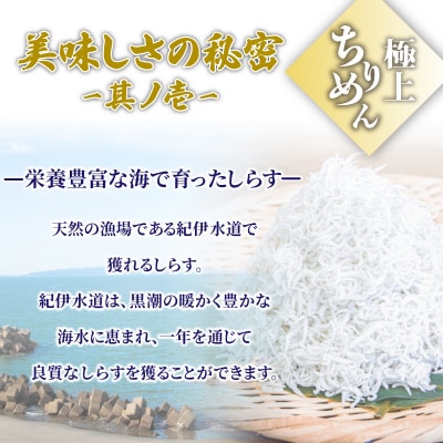 釜揚げ しらす 500g 国産 徳島県産 和田島産 産地直送 冷蔵