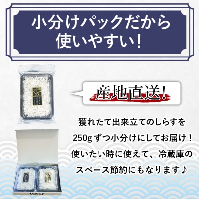 釜揚げ しらす 500g 国産 徳島県産 和田島産 産地直送 冷蔵