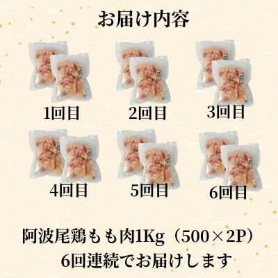 【定期便6回】鶏肉 阿波尾鶏 もも肉1kg (500g×2P) 小分け 毎月 便利 鶏肉 徳島 地鶏