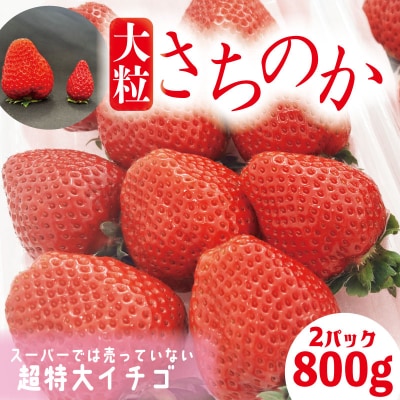いちご さちのか 大粒 2パック 計800g前後 【2026年1月より順次発送】