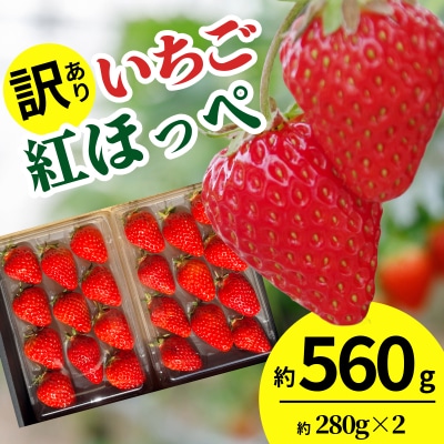 【訳あり】 いちご 紅ほっぺ 大粒 560g以上 ( 約280g × 2パック )  苺 イチゴ