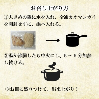 冷凍カオマンガイ 2人前 鶏肉 タイ チキン ライス カオマンガイ タイ料理