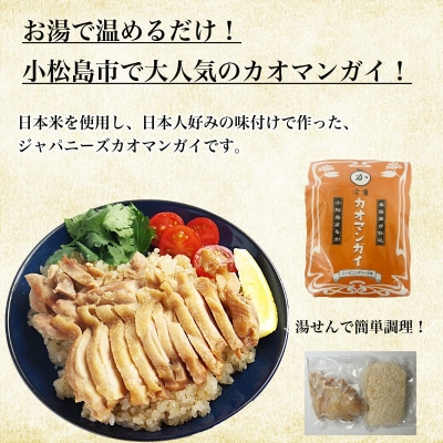 冷凍カオマンガイ 4人前 鶏肉 タイ チキン ライス カオマンガイ タイ料理 冷凍 エスニック