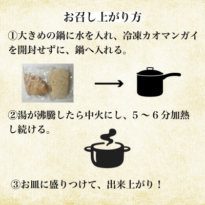 冷凍カオマンガイ 4人前 鶏肉 タイ チキン ライス カオマンガイ タイ料理 冷凍 エスニック