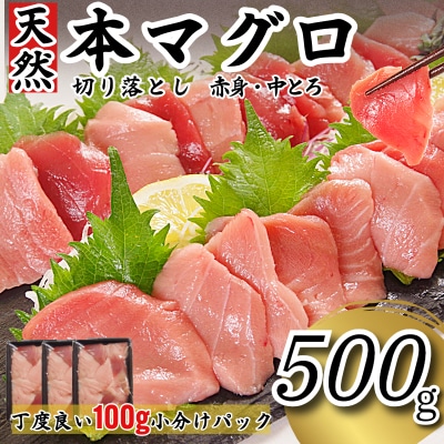 天然本まぐろ 切り落とし 500g(100g×5P) マグロ 本まぐろ 中とろ 赤身 天然 鮪 