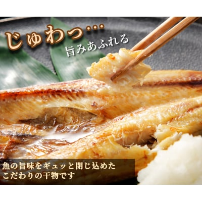 訳あり 干物 約2.2kg 詰め合わせ ホッケ サンマ アジ カマス 和田島産 徳島県 小松島市