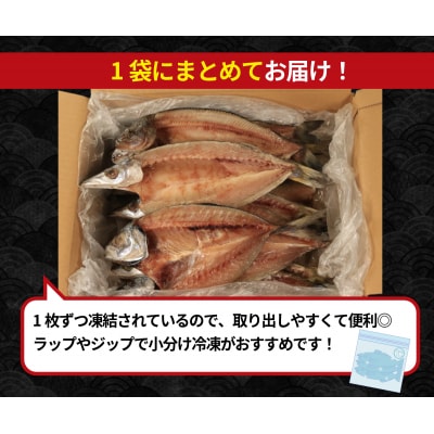 訳あり 干物 約2.2kg 詰め合わせ ホッケ サンマ アジ カマス 和田島産 徳島県 小松島市