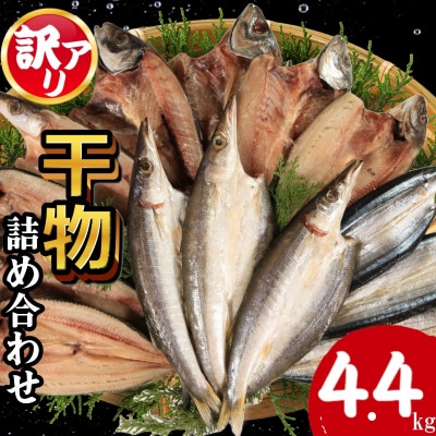 訳あり 干物 約4.4kg 詰め合わせ ホッケ サンマ アジ カマス 和田島産 徳島県 小松島市