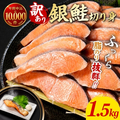  訳あり 銀鮭 切り身 1.5kg 冷凍鮭 切り身 冷凍 切身 サイズ 不揃い