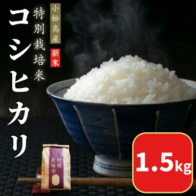 【2026年9月順次発送】 令和8年産 新米 白米 コシヒカリ 1.5kg 特別栽培米 