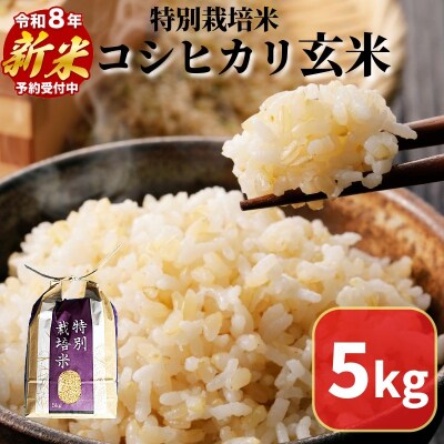 【2026年9月より順次発送】コシヒカリ 玄米 5kg 特別栽培米 新米 一等米 こめ お米 健康
