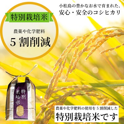 【2026年9月より順次発送】コシヒカリ 玄米 5kg 特別栽培米 新米 一等米 こめ お米 健康