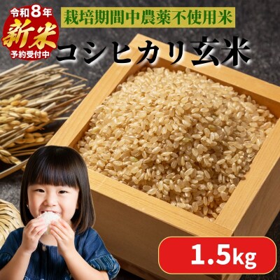 【2026年9月順次発送】 栽培期間中農薬不使用 コシヒカリ 玄米 1.5kg 米 化学肥料不使用