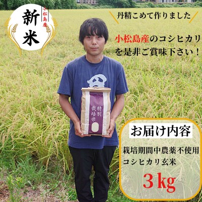 【2026年9月順次発送】 栽培期間中農薬不使用 コシヒカリ玄米 3kg 玄米 米 化学肥料不使用