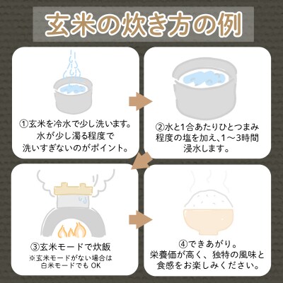 【2025年9月順次発送】 栽培期間中農薬不使用 コシヒカリ玄米 5kg 玄米 米 化学肥料不使用