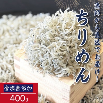 【6月末から12月中旬まで発送】 ちりめん 400g 食塩無添加 ちりめんじゃこ