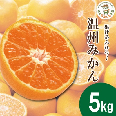 【2025年10月順次発送】 温州みかん 5kg  みかん 温州みかん 完熟 徳島 小松島 | ふるさと納税のお礼品