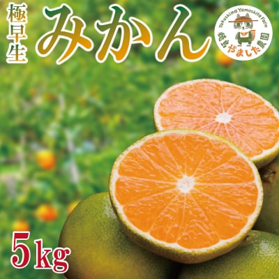 【2025年9月順次発送】 極早生みかん5kg  みかん 温州みかん 極早生 早生 国産 徳島