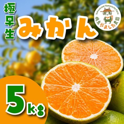 【先行予約】 【2026年10月順次発送】 極早生みかん5kg みかん 温州みかん 極早生 柑橘 