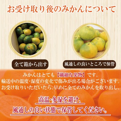【先行予約】 【2026年10月順次発送】 極早生みかん5kg みかん 温州みかん 極早生 柑橘 