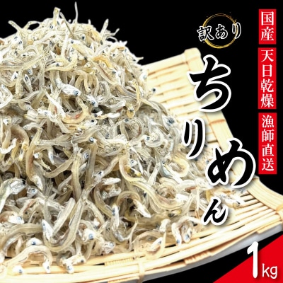 【6月~12月初旬まで発送】 ちりめん 訳あり 1kg ちりめんじゃこ
