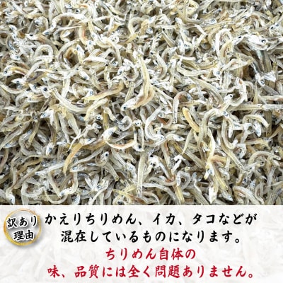 【6月~12月初旬まで発送】 ちりめん 訳あり 1kg ちりめんじゃこ