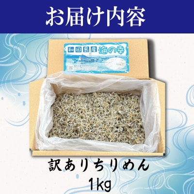 【6月~12月初旬まで発送】 ちりめん 訳あり 1kg ちりめんじゃこ