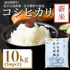 【令和7年産新米先行受付】お米 10kg コシヒカリ 新米 令和7年産 米 こめ ご飯 ごはん