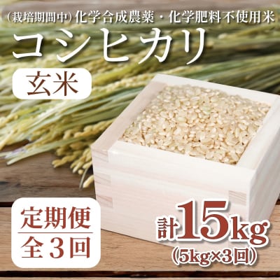 【令和7年産新米】玄米 定期便 3回 米 コシヒカリ 計15kg 5kg × 3回 お米 おこめ
