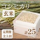 【令和7年産新米】　玄米 定期便 5回 米 コシヒカリ 計25kg 5kg × 5回 お米 おこめ