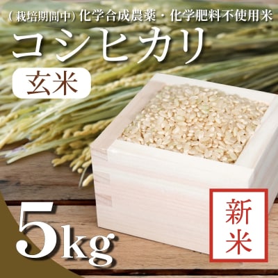 【令和7年産新米先行受付】玄米 5kg コシヒカリ 新米 令和7年産 米 こめ ご飯 ごはん