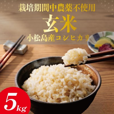 【栽培期間中農薬不使用】玄米 5kg コシヒカリ  令和7年産 米 こめ ご飯 ごはん