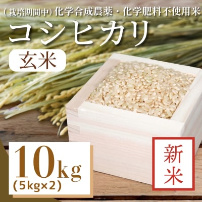 【令和7年産新米先行受付】玄米 10kg コシヒカリ 新米 令和7年産 米 こめ ご飯 ごはん