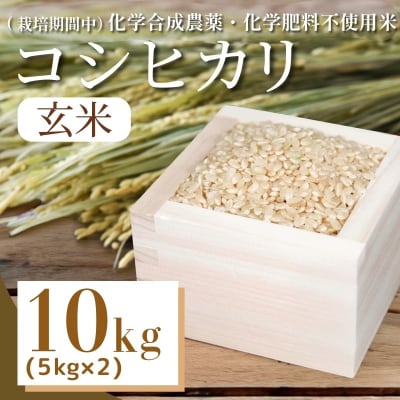 【令和7年産先行受付】玄米 10kg コシヒカリ  令和7年産 米 こめ ご飯 ごはん