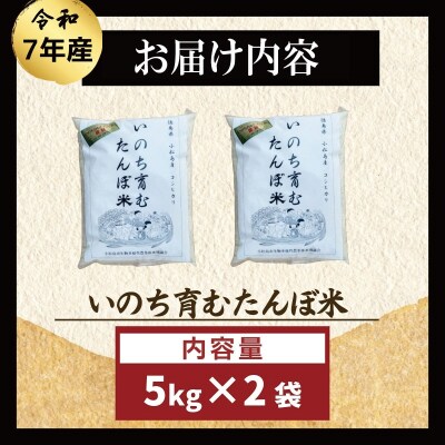 【栽培期間中農薬不使用】玄米 10kg コシヒカリ  令和7年産 米 こめ ご飯 ごはん