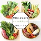 季節のエシカル野菜詰め合わせセット(5～10種) 国産 おまかせ 産地直送  小松島産 季節限定