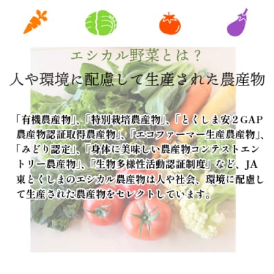 季節のエシカル野菜詰め合わせセット(5～10種) 国産 おまかせ 産地直送  小松島産 季節限定