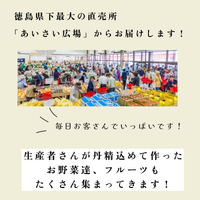 季節のエシカル野菜詰め合わせセット(5～10種) 国産 おまかせ 産地直送  小松島産 季節限定