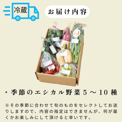 季節のエシカル野菜詰め合わせセット(5～10種) 国産 おまかせ 産地直送  小松島産 季節限定