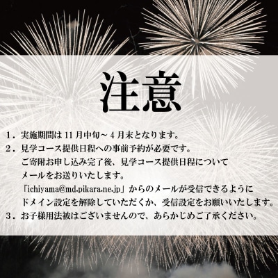 花火 工場見学 プライベート花火 セットコース 75発 イベント 記念日 お祝い 徳島 小松島