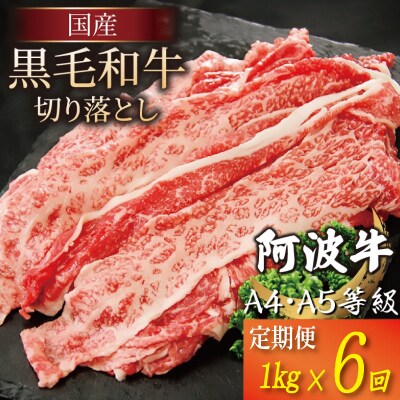 【定期便】 黒毛和牛 赤身 切り落とし 1kg 6回
