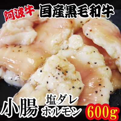 ホルモン 小腸 阿波牛 塩ダレ 200g×3パック 計600g